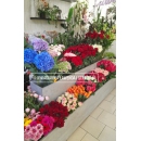 LAWENDA/STRELICJA - Kwiaciarnia - Kwiaty - Wiązanki Ślubne - Wieńce Pogrzebowe - Flowerbox - Radom - Chrobrego 43